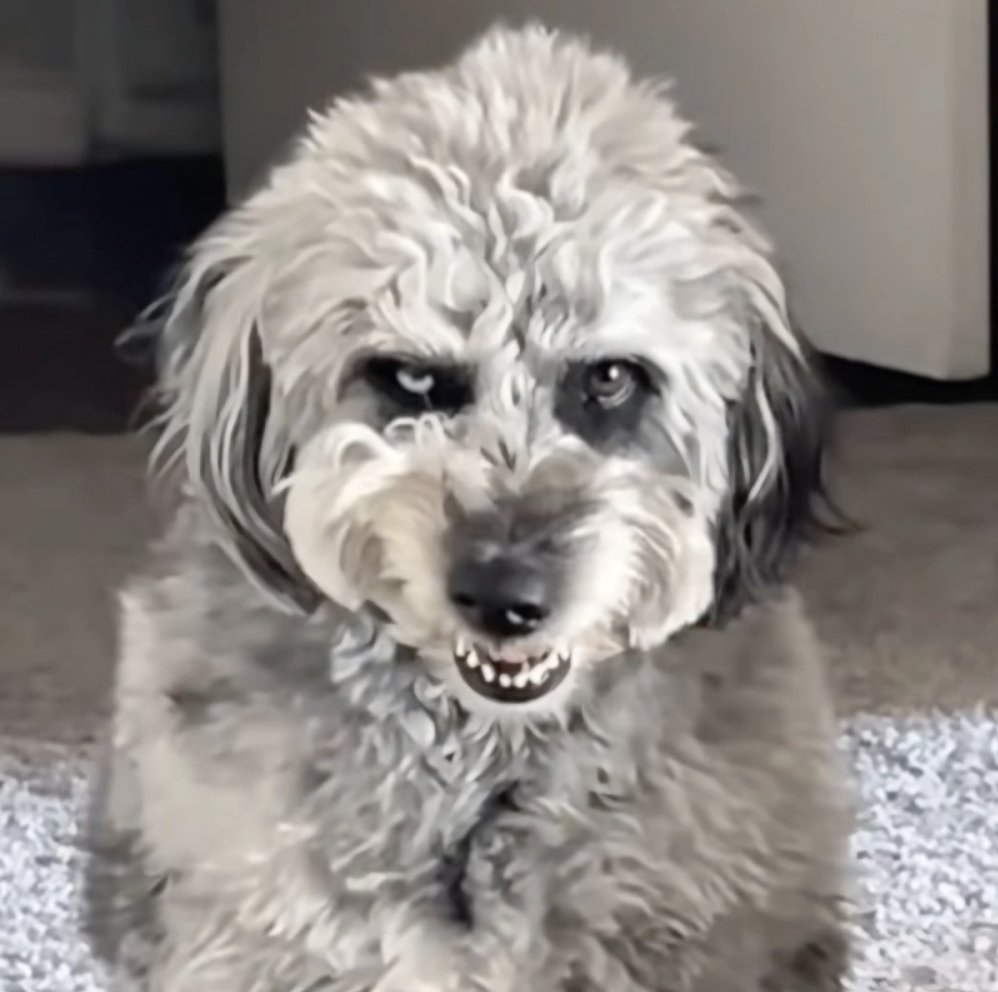 When she keeps sucking after you finish.

$OAKLEY
HpWufCkRtxYK1bZhTnowMBnjDo4rpTX8Hf9N7XhUpump