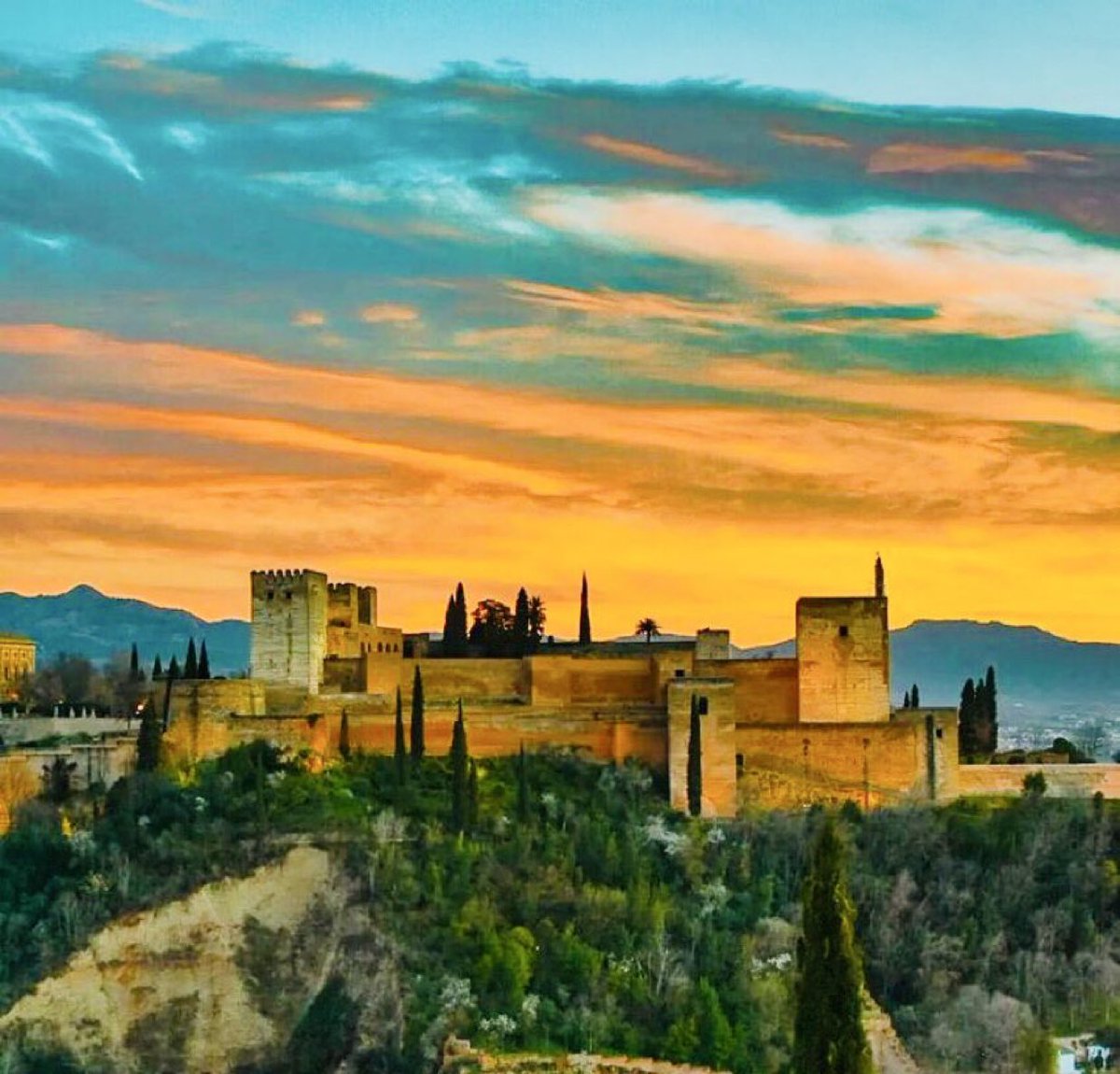 © Salvador Torres tweet media