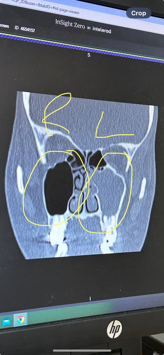 leilani dowding 🌸🚜 ☮️ tweet media