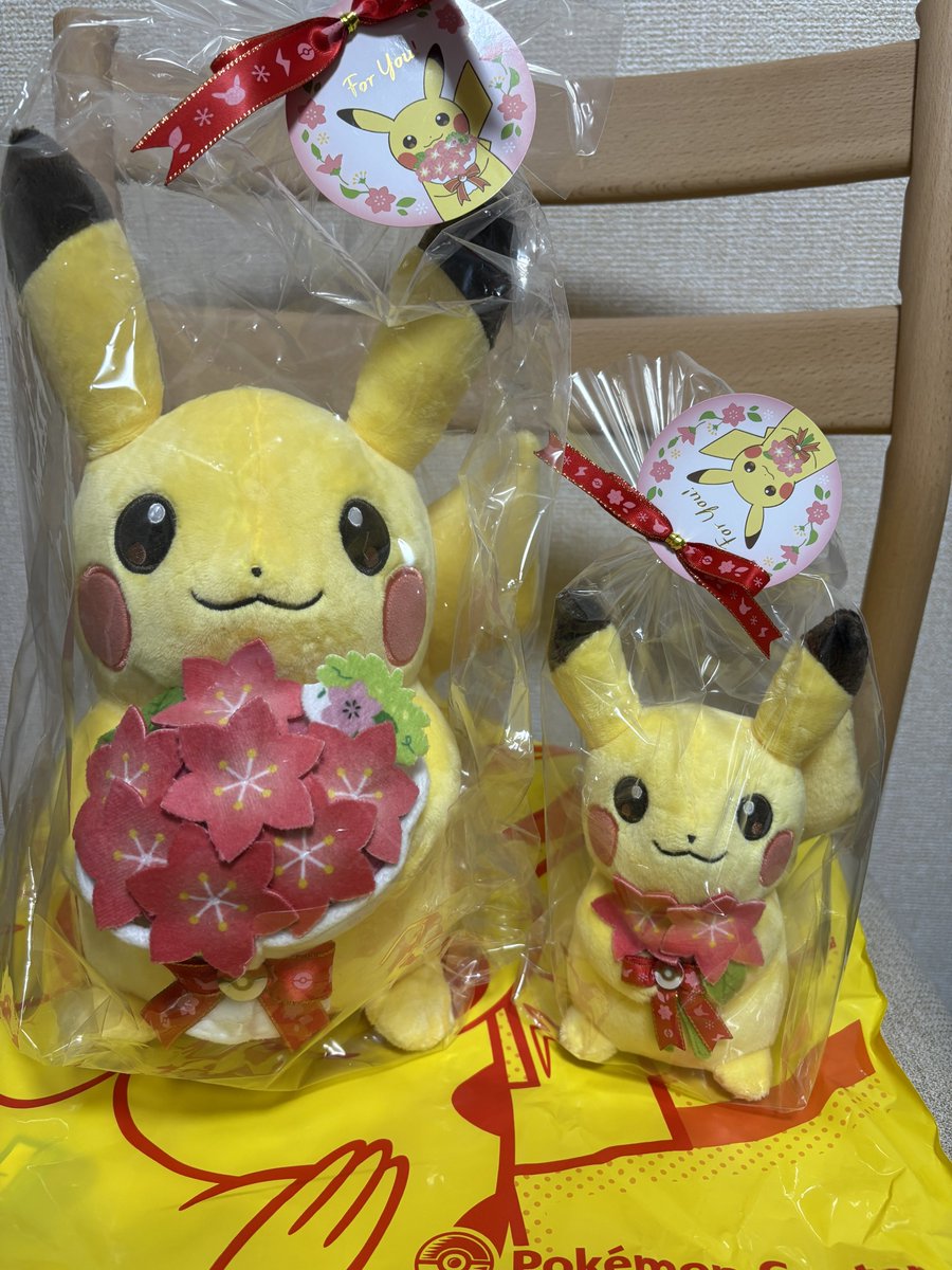 ketchup2crazy1's tweet photo. ポケセン行ったら大きい子が1匹残ってて、本当は小さい子のみ買う予定だったけど両方お出迎えした🧸
ぬいぐるみがまた増えるけど可愛いから良し⚡️
#グラシデア #ピカチュウ https://t.co/Ea3mszz7IG