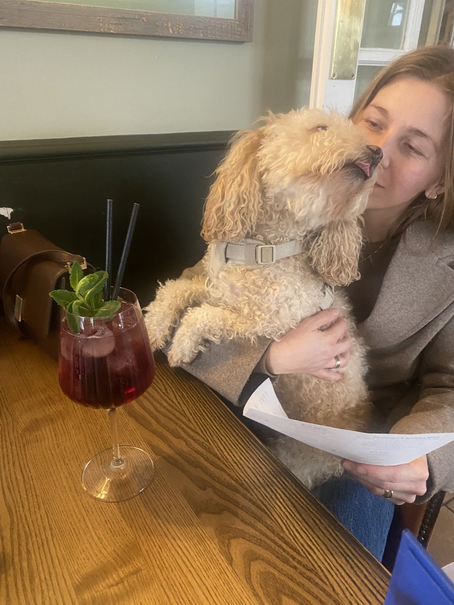 DUNSTANTEAM's tweet photo. 🐾🍻 Bring your furry friends to #dunstanhouseinn– where tails wag and pints flow! 🍺🐶 Whether they’re chasing treats or soaking up the love, we’ve got the perfect spot for both you and your pup. 🐕💕

#DogFriendly #Pubs #PawsAndPints #GoodVibesOnly #burnhamonsea #youngspubs https://t.co/2I5efva3Wk
