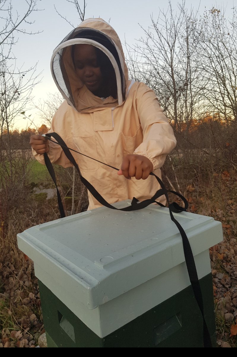 Action pour le développement durable au Congo/RDC tweet media