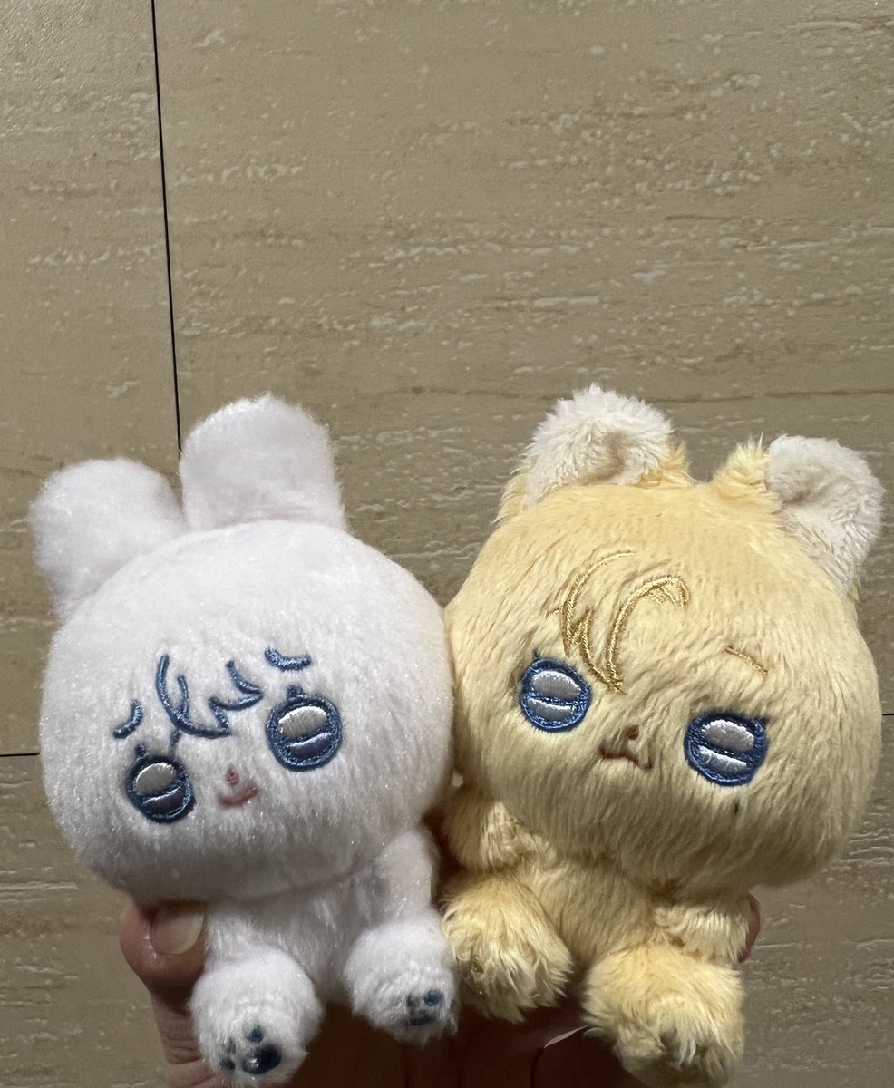 놔쫑이 마중 나갈 겸 예쫑이랑 밤 산책
놔쫑아 어서와

<a href="/yezzongee/">예쫑&놔쫑</a>