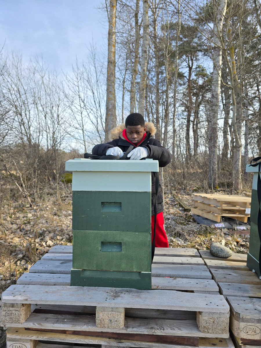 Action pour le développement durable au Congo/RDC tweet media