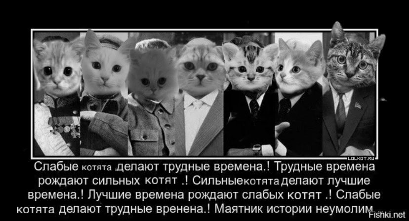 а вы помните а вы умеете помнить