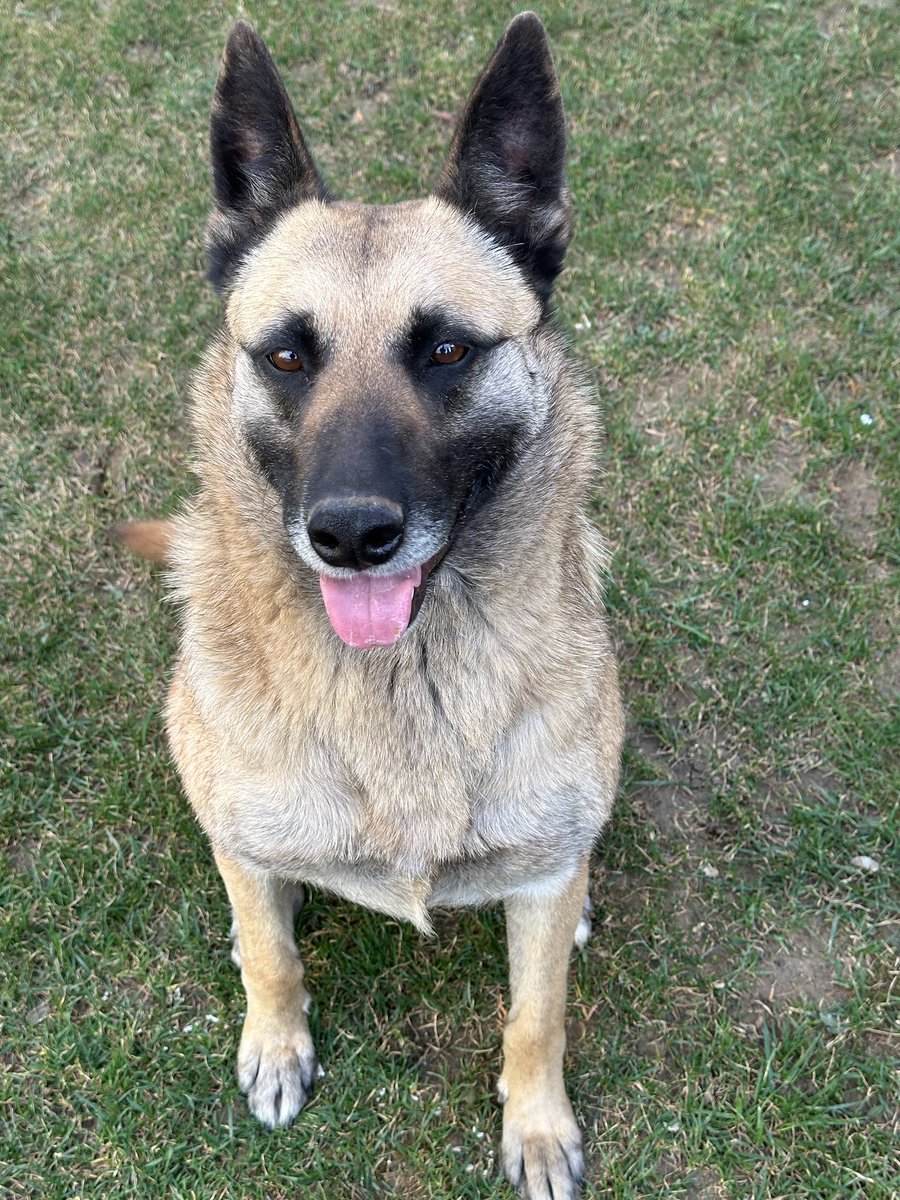 simppssoon's tweet image. 🫶🏻