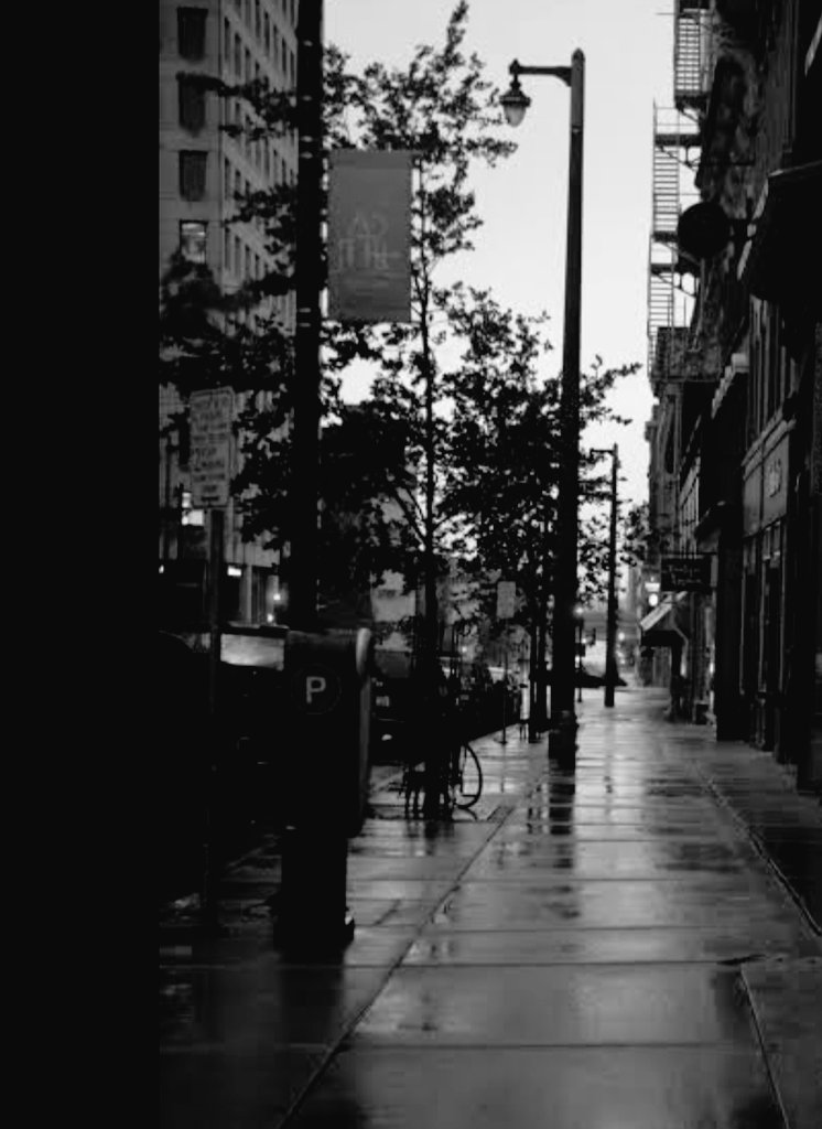 Fernando Paz tweet media