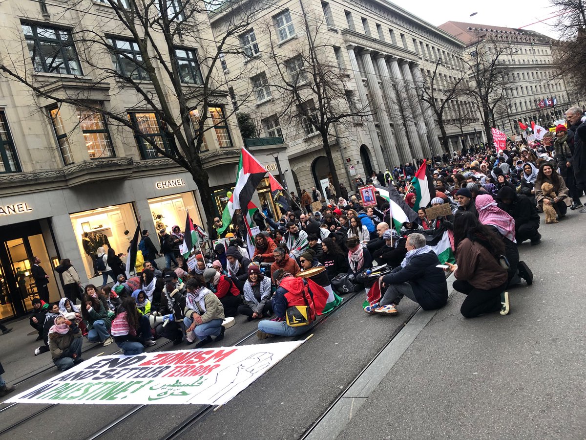 effrayvescent's tweet photo. pro-palestine demonstration in zurich!!! https://t.co/3dpuMkH0uI