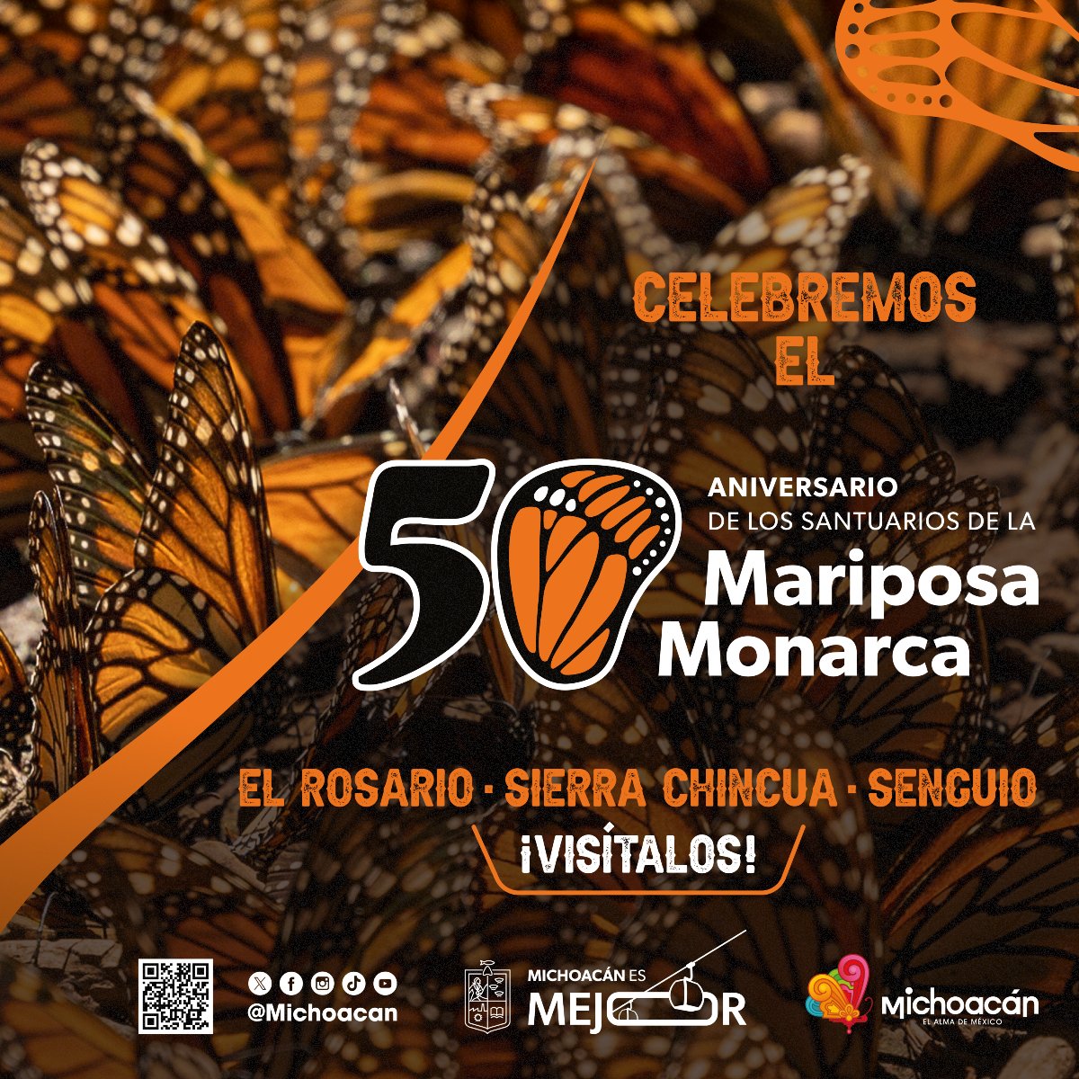 Michoacán tweet media
