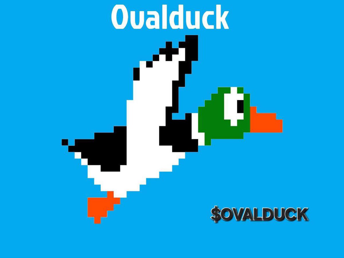 donaldsduk's tweet photo. #ovalduck…ready for duck season, are you? https://t.co/MtPhEVzTUy