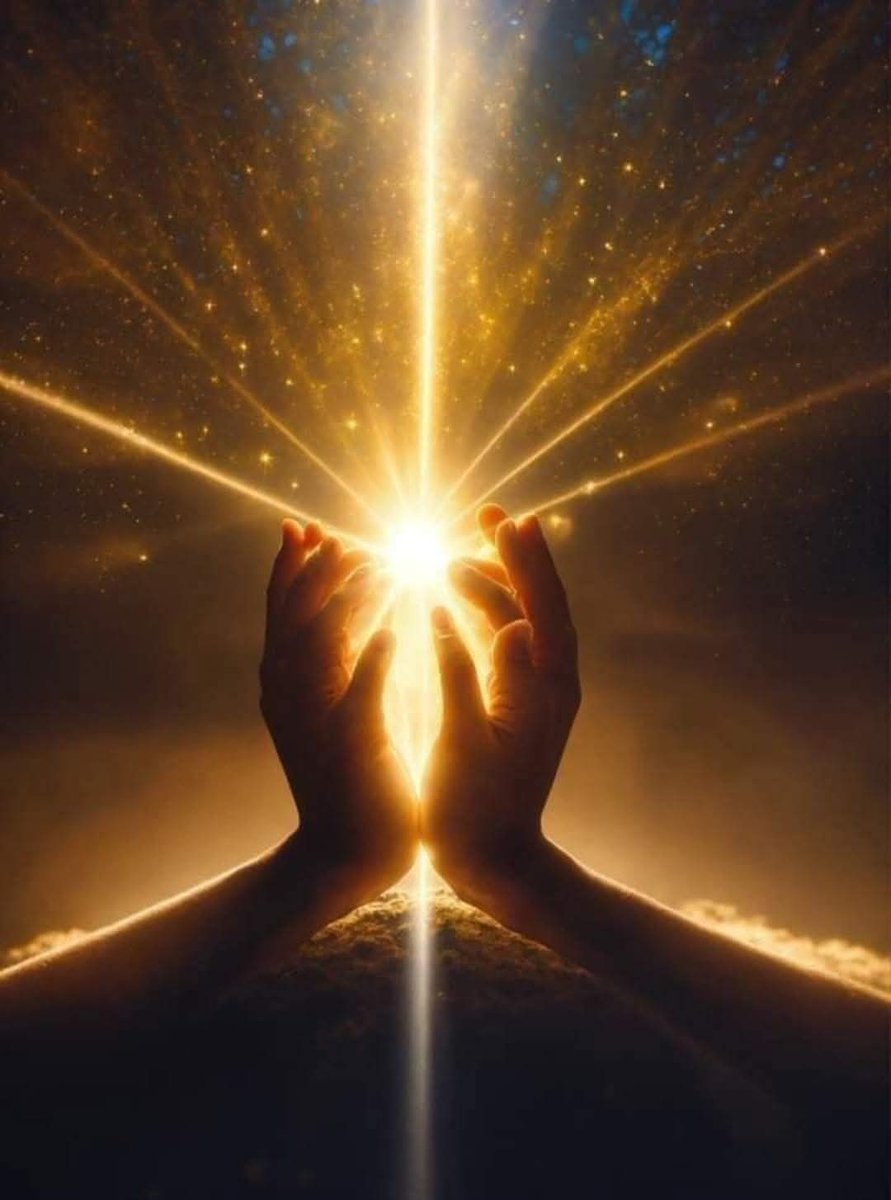 Lotus 🇮🇳 tweet media