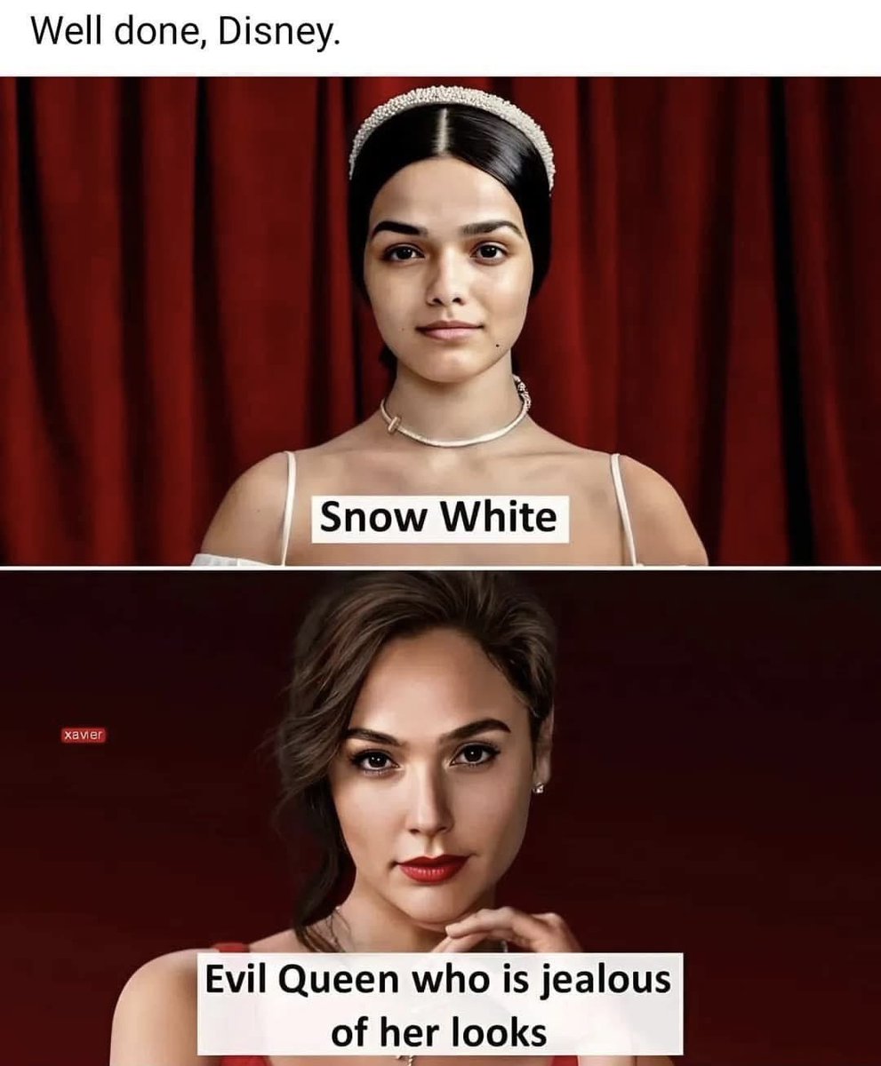 Anti Left Memes tweet media