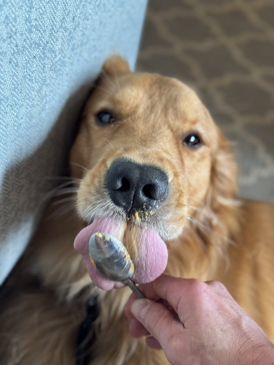 John Shields, MD, FAAOS tweet media