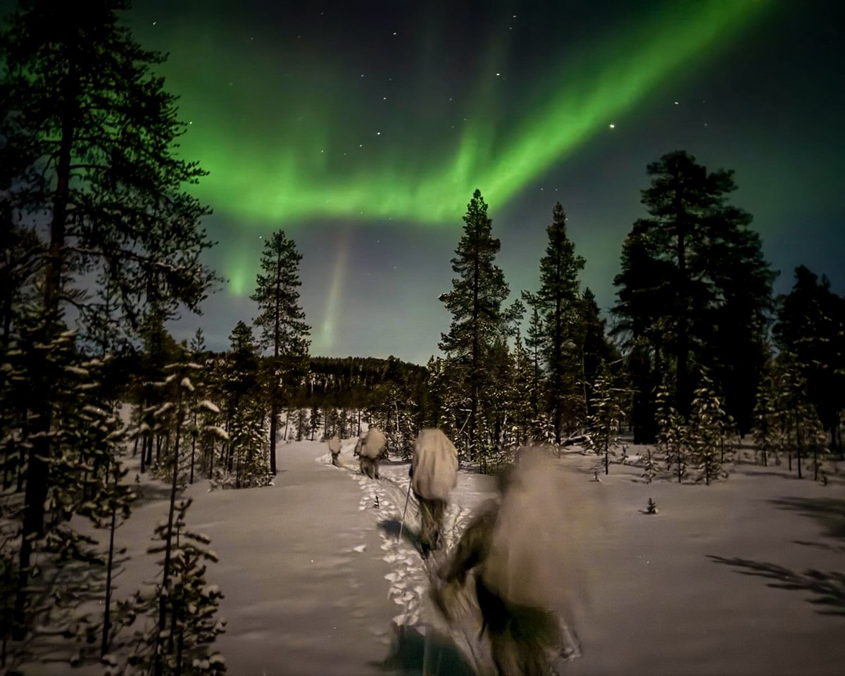 ❄️ Finnish and Allied Special Operations Forces are training together in the Arctic conditions of Lapland. 450 soldiers face extreme cold and challenging environments, strengthening cooperation under the Northern Lights. 🌌  #puolustusvoimat <a href="/UtinJR/">Utin jääkärirykm.</a>