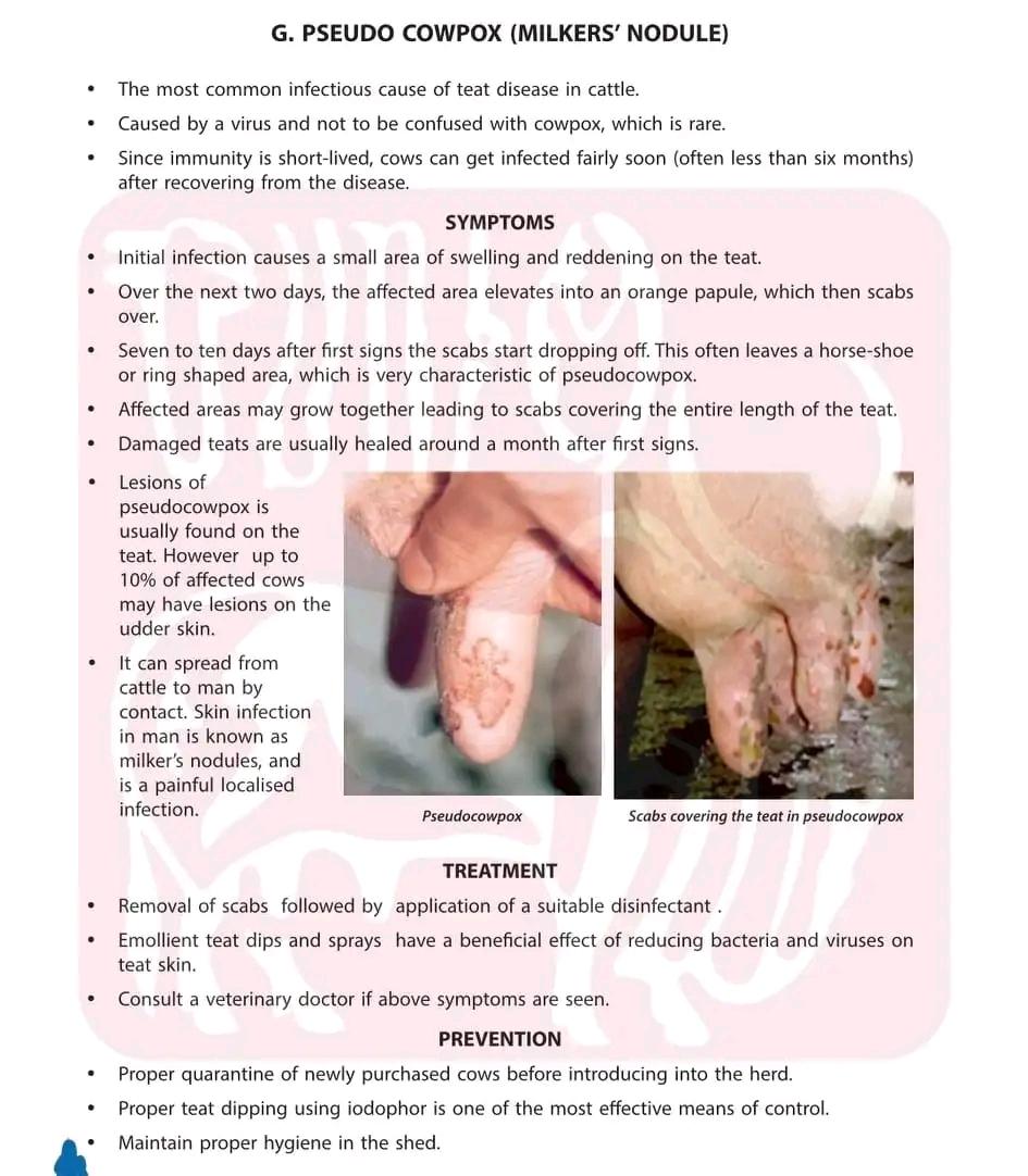 Vet Med Info 🩺 (@halfbakedvet) on Twitter photo 