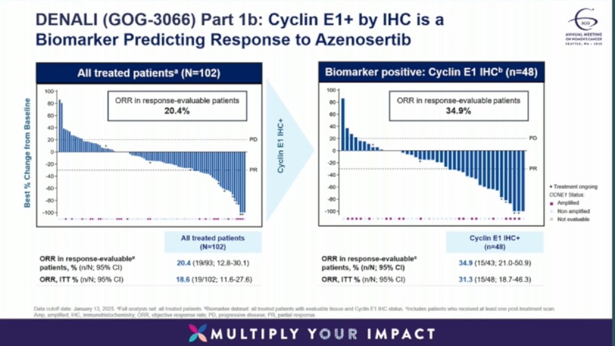 ShannonWestin's tweet photo. 🙌Azenosertib (WEE1i) has high activity in CCNE1 positive recurrent #ovariancancer - 👏👏👏design trials based on the right science and you get great results!!! 

Incredible durable response - 34.9% in IHC positive tumors! 
@GOG #gyncsm #SGOMtg #SGO2025 https://t.co/bbY5EWpmUI