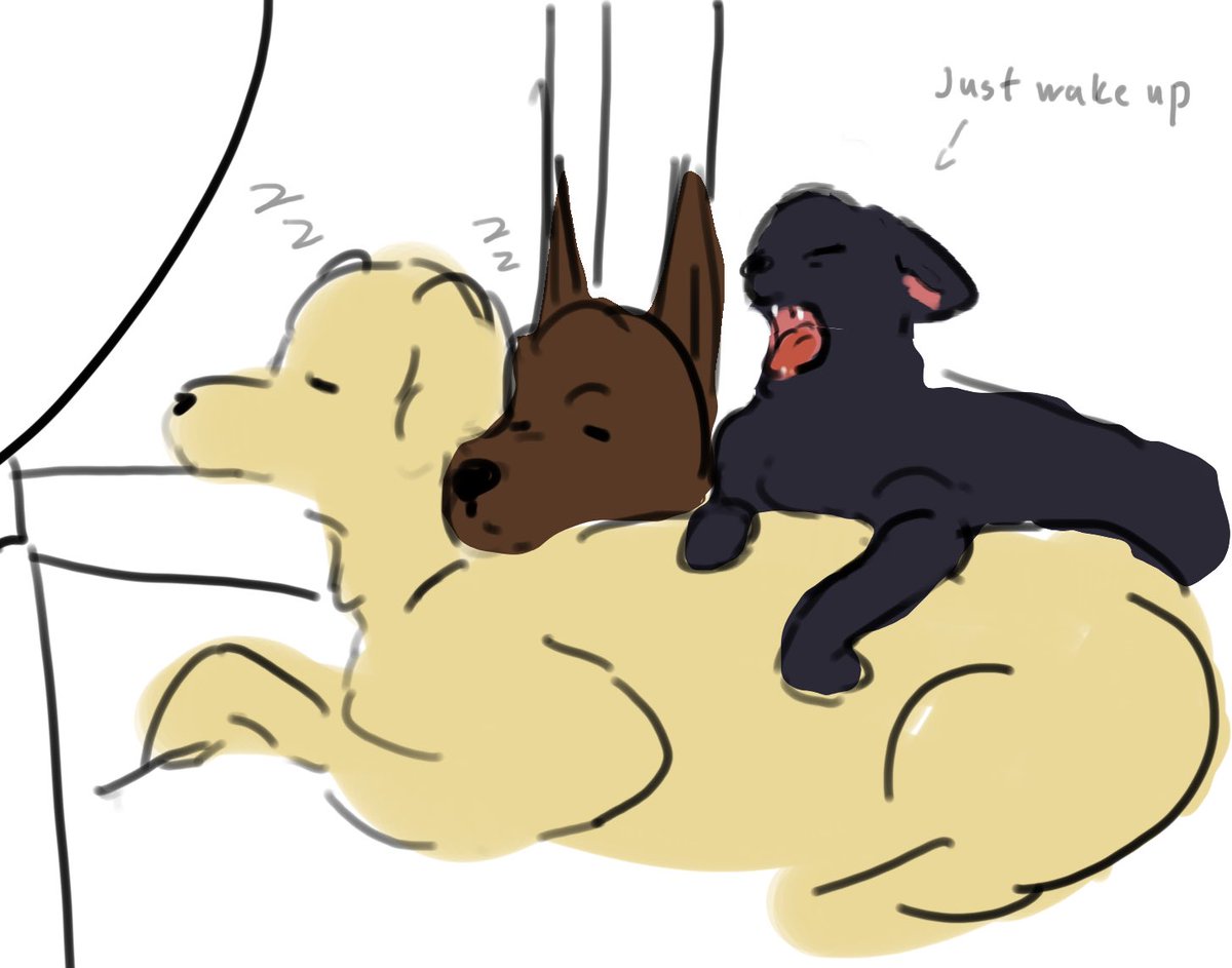 Animals. 
#stardewvalleysam #StardewValleysebastian #StardewValleyalex