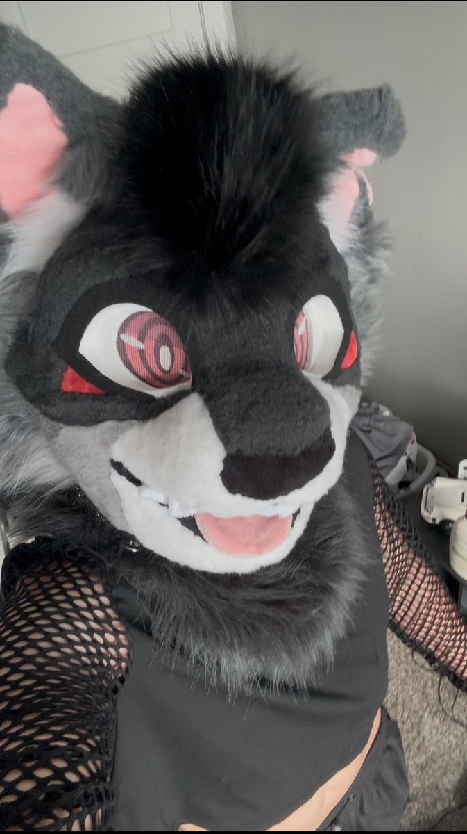 Shosun🔜BLFC tweet media