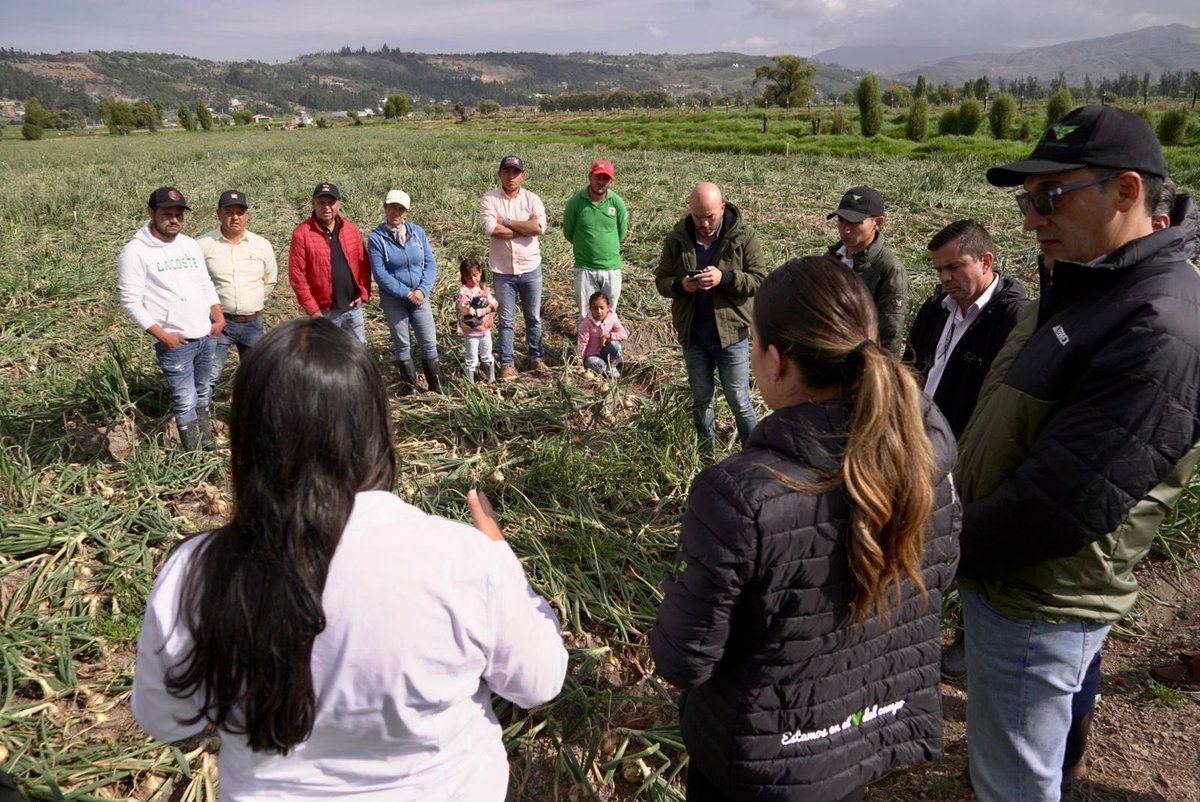 PaulaCepedaR's tweet photo. Hoy en nuestra reunión con el Gremio de Cebolleros en Boyacá avanzamos en temas clave: certificación, adecuación de áreas para el bienestar de los agricultores y cumplimiento de estándares de calidad. 
Desde el @ICACOLOMBIA impulsamos las Buenas Prácticas Agrícolas para fortalecer su competitividad en mercados nacionales e internacionales y acompañaremos a todo el gremio en este proceso, iniciando con los 14 predios visitados. ¡Trabajamos juntos por un agro más fuerte y competitivo! 💪🏽