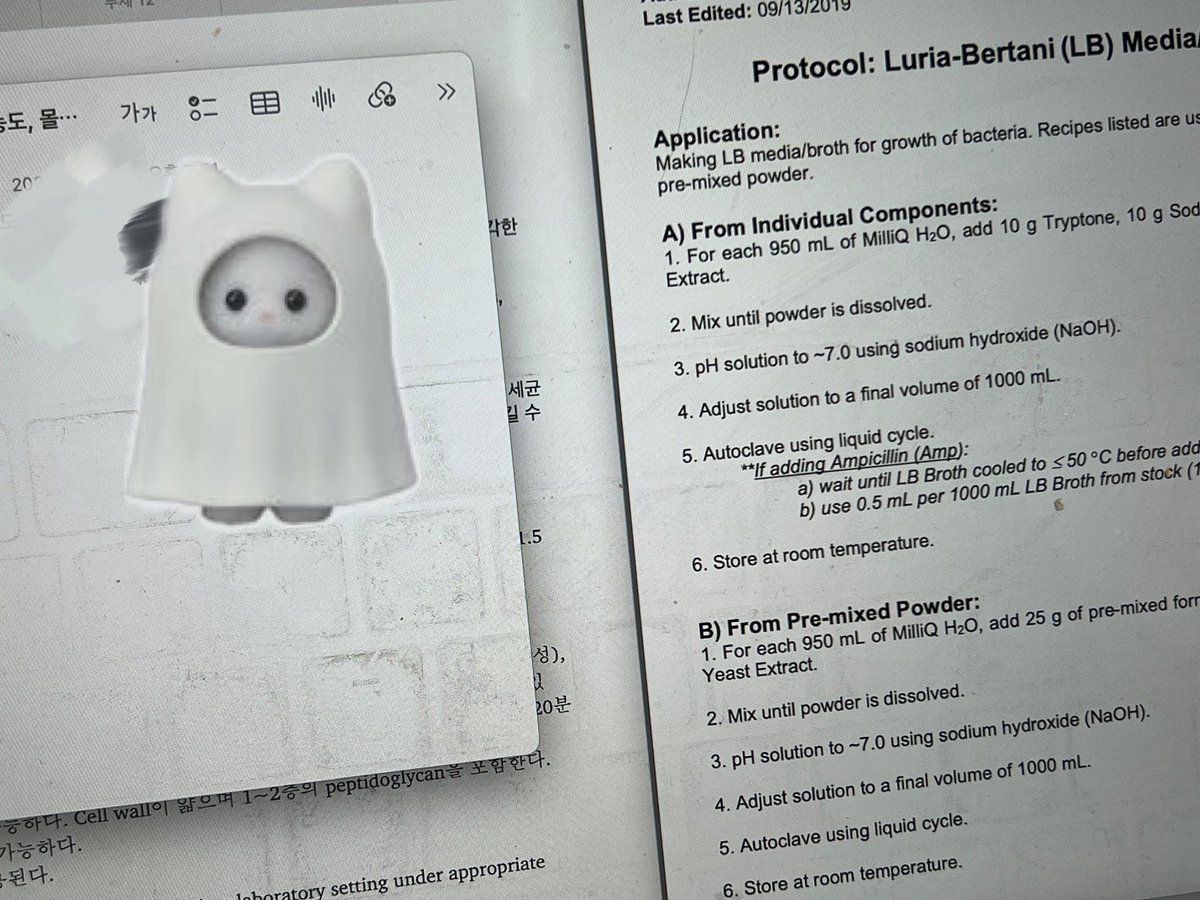 studywithdazz's tweet image. 늦잠자고 하루종일 밀린 집안일까지 하니까 하루가 더 짧네요 💤 💤 
일요일은 일찍 일어나서 도서관 가는게 목표입니다 🩶