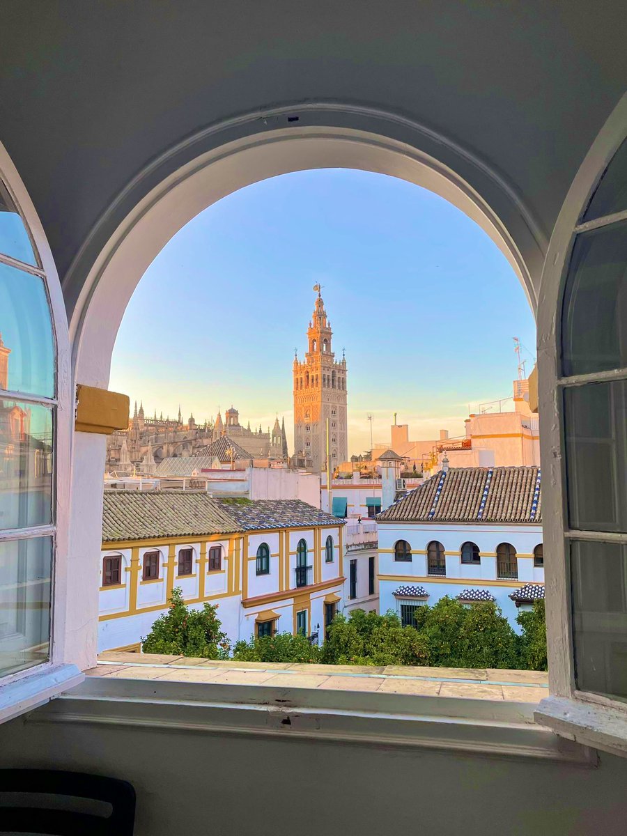 José Ángel Ríos tweet media