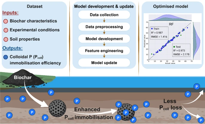 🔍Check out this excellent collaborative paper by Eltohamy et al. on a machine learning-assisted model for predicting biochar colloidal phosphorus immobilisation in agricultural soils. 🌱published on #Biochar journal 🌱link.springer.com/article/10.100…