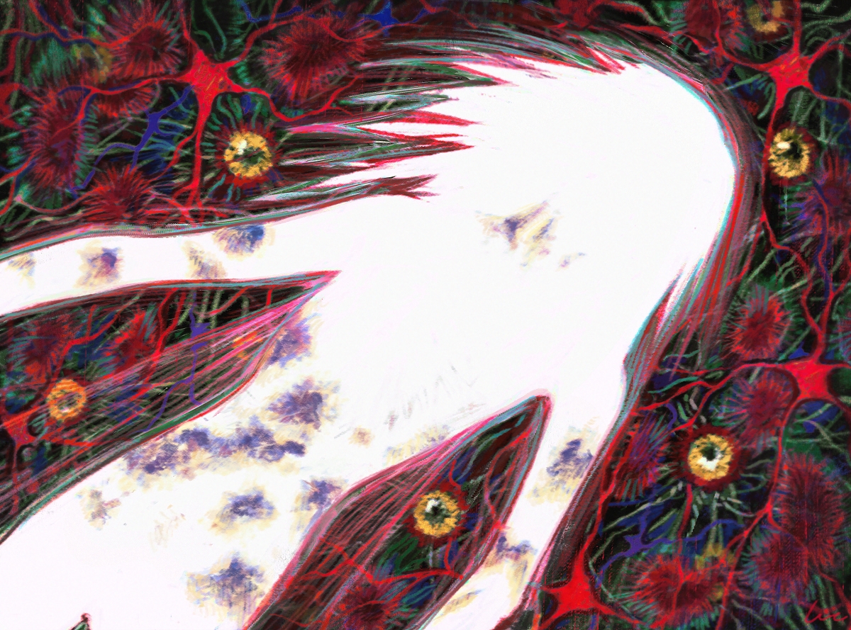 省略 (@lve_ryk) on Twitter photo 
