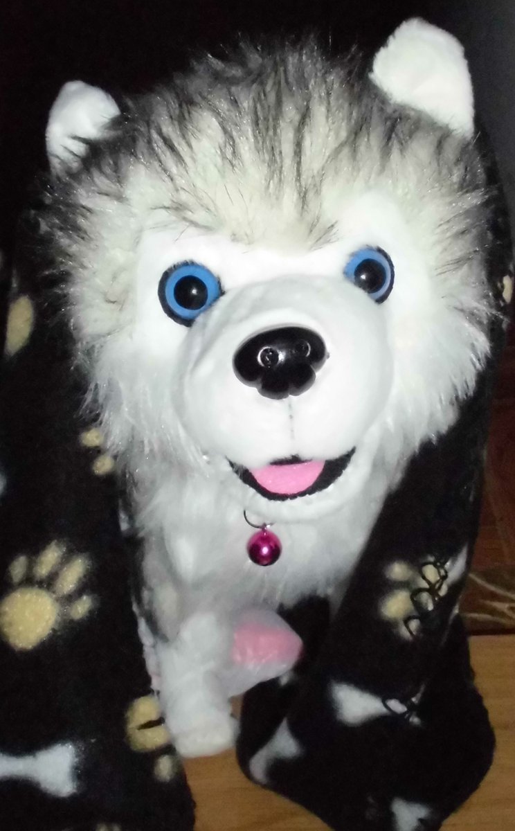 DIARI_OPINA's tweet photo. @ingles @Aldo_republica @erjubilao @Nikoibargarai @video 775925.- #AZPOR®.- (2/2)Y que ya participo en la Plataforma de Opinión Reivindicativa.
#Selly era la mascota del fundador de dicha Plataforma.
Y a ella se ha unido recientemente #Cendra,
#Cendra es un peluche cuya que tiene cara de tan descarada como la propia #Selly
#NFT #15mar https://t.co/AhnaBVqbYQ