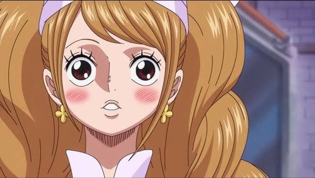 シャーロット・マメツブ🐶 tweet media