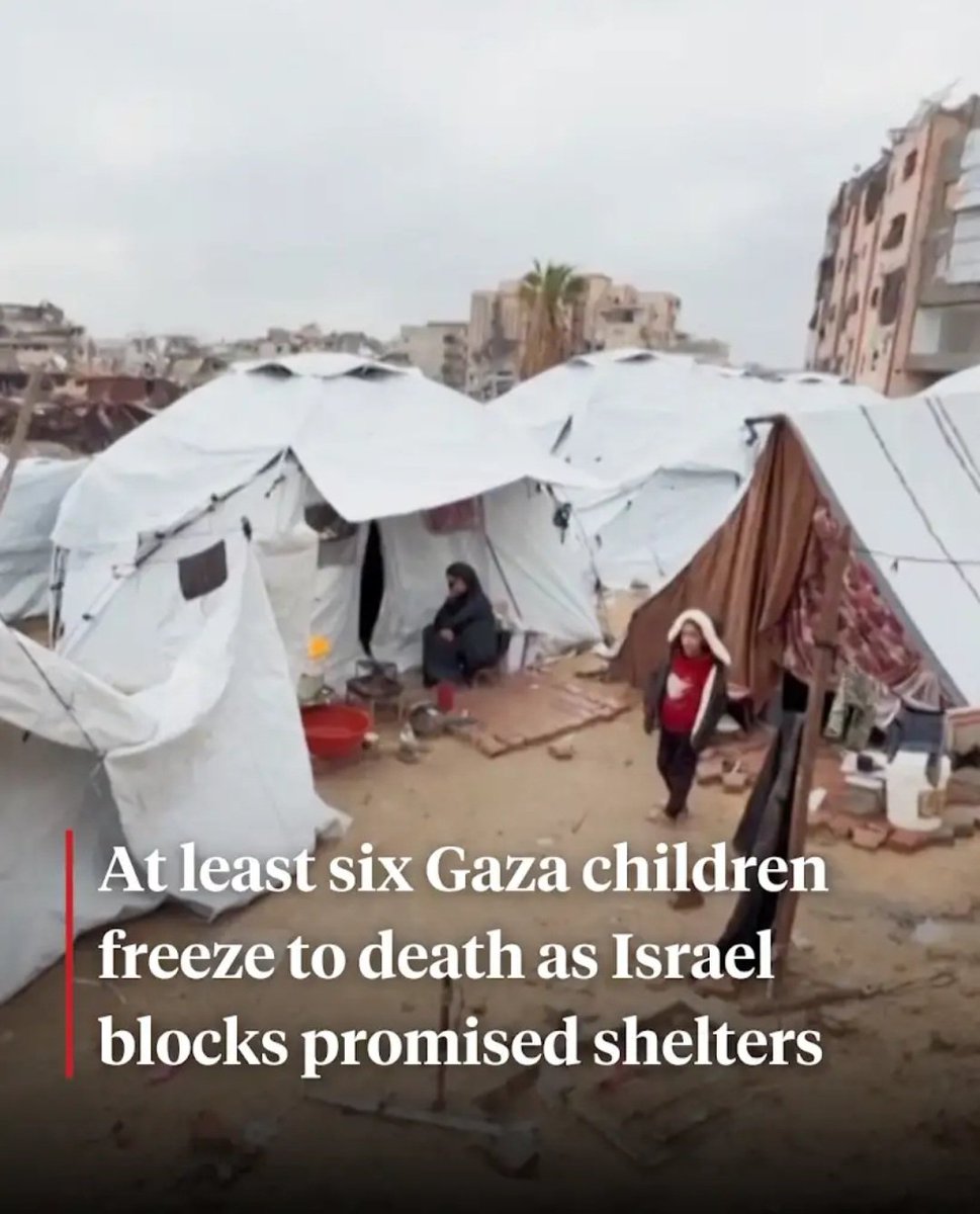 SofiakisGreen's tweet photo. Hey republican party of chicago, stop defending literal pedophiles like Matt Gaetz and genocidal terrorists like the IDF while calling their victims the perpetrators! 🖕 https://t.co/9aDlUL1SEV