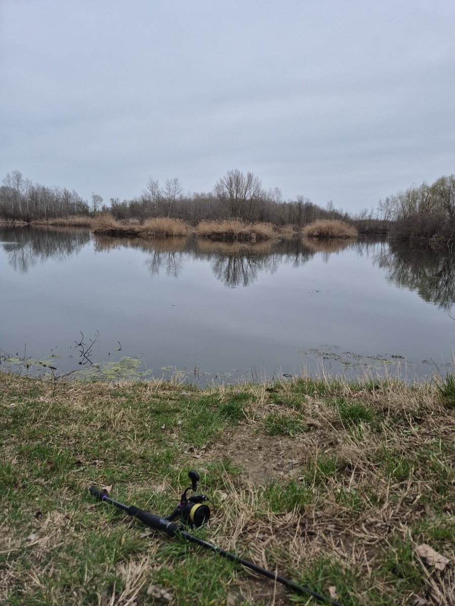 algo_cats's tweet image. beautiful weekend.

touch the grass, prepare for the pump.