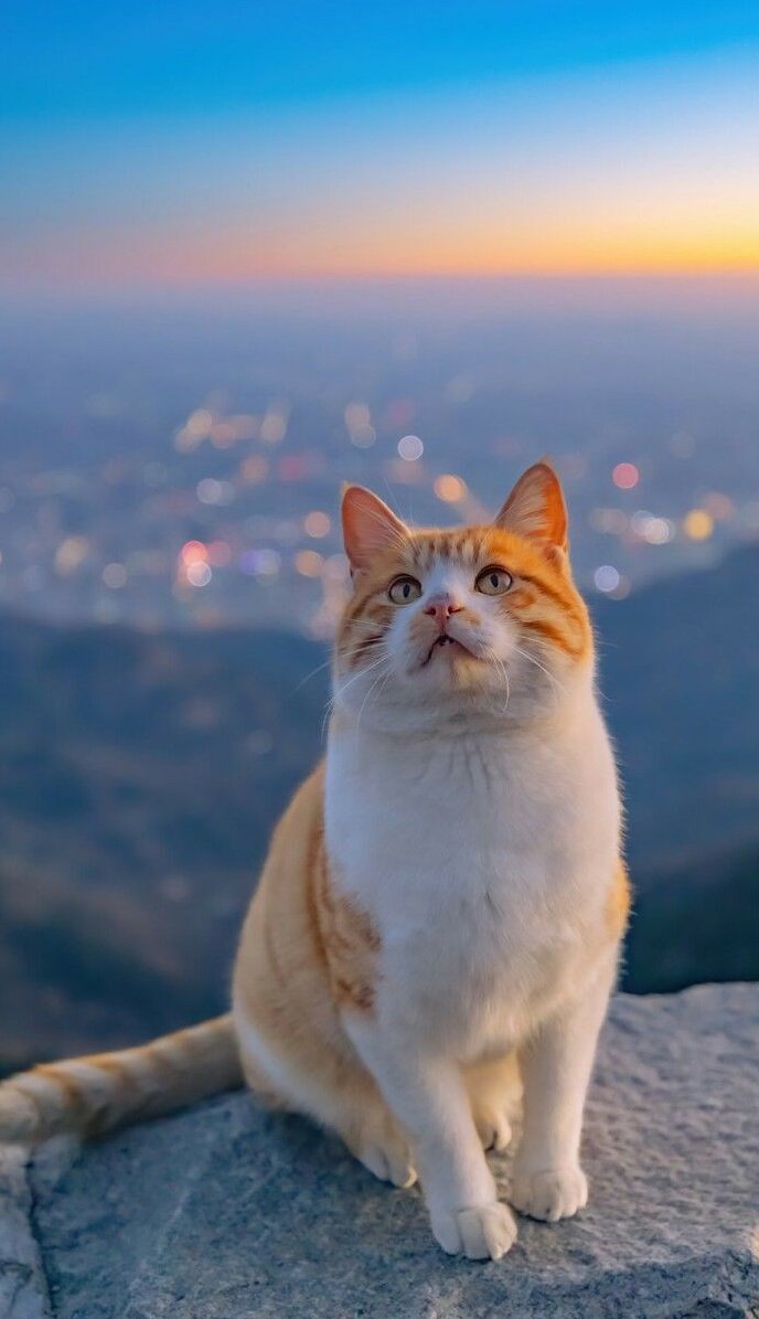 junaid__1_'s tweet image. 🩷⃝🧸⁩*ː͢———May your evening be filled with joy and relaxation. Wishing you a peaceful and delightful evening———🕊️⃝🌸

🇬 🇴 🇴 🇩   🇪 🇻 🇪 🇳 🇮 🇳 🇬——➪🌷🩵