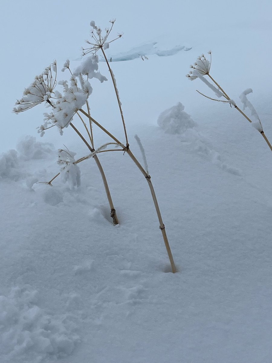 Letizia leprini (@letizia_le) on Twitter photo 