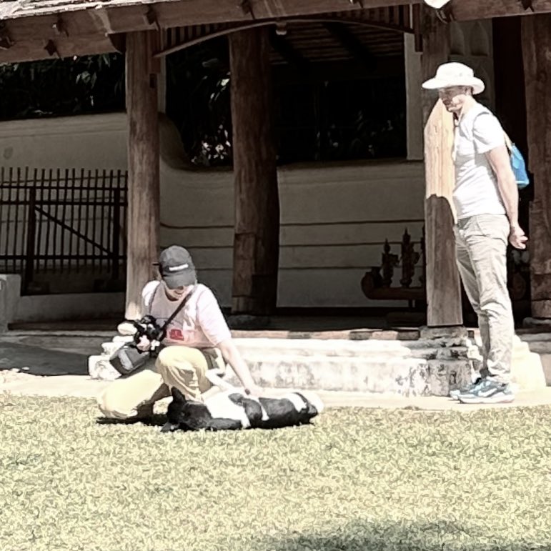 luvmpl's tweet image. little cute things in cnx