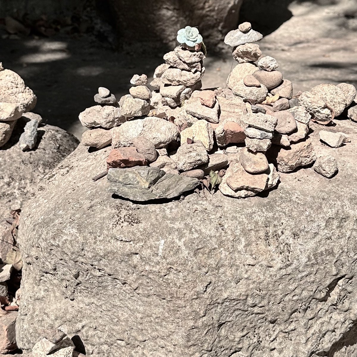 luvmpl's tweet image. little cute things in cnx