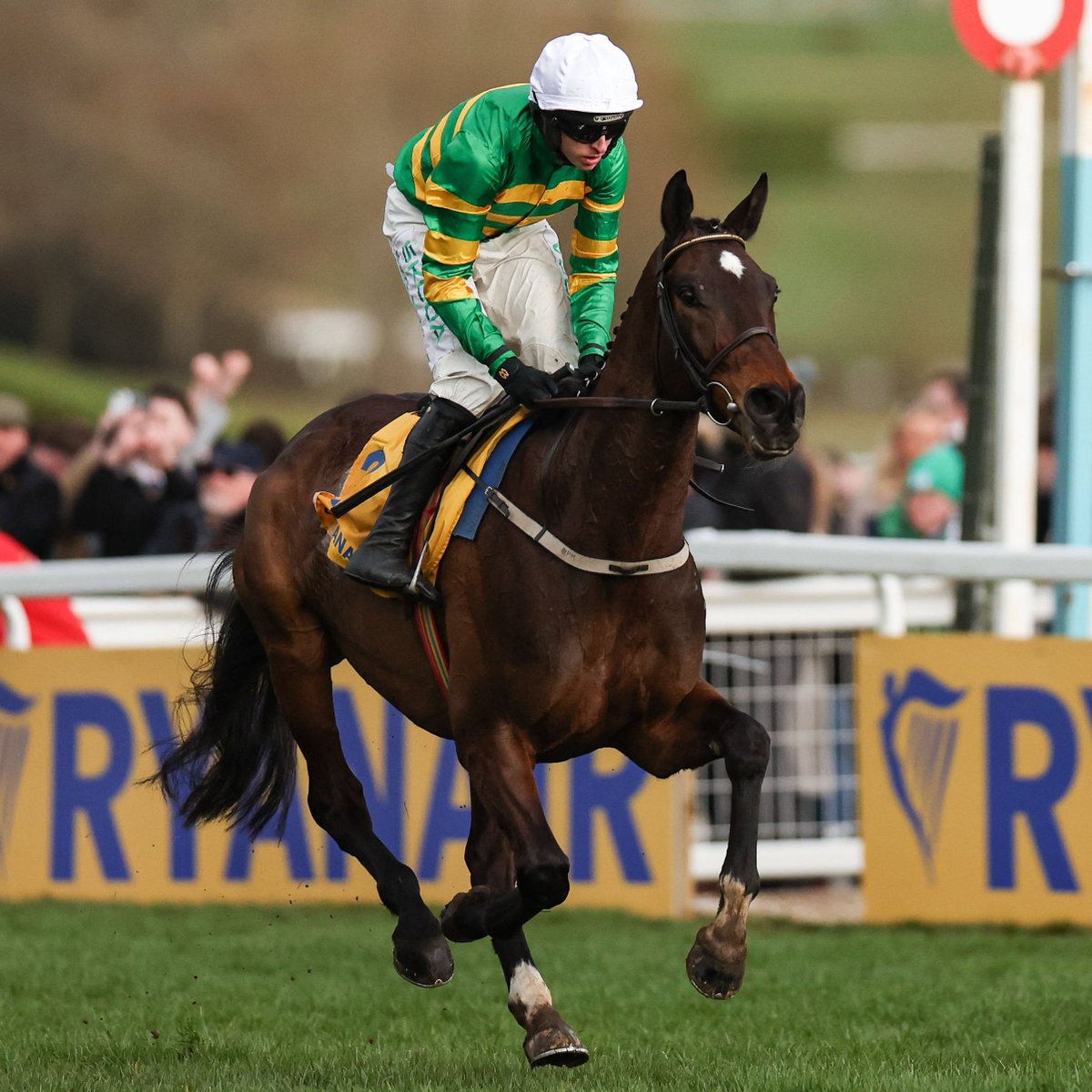 Racing Post tweet media