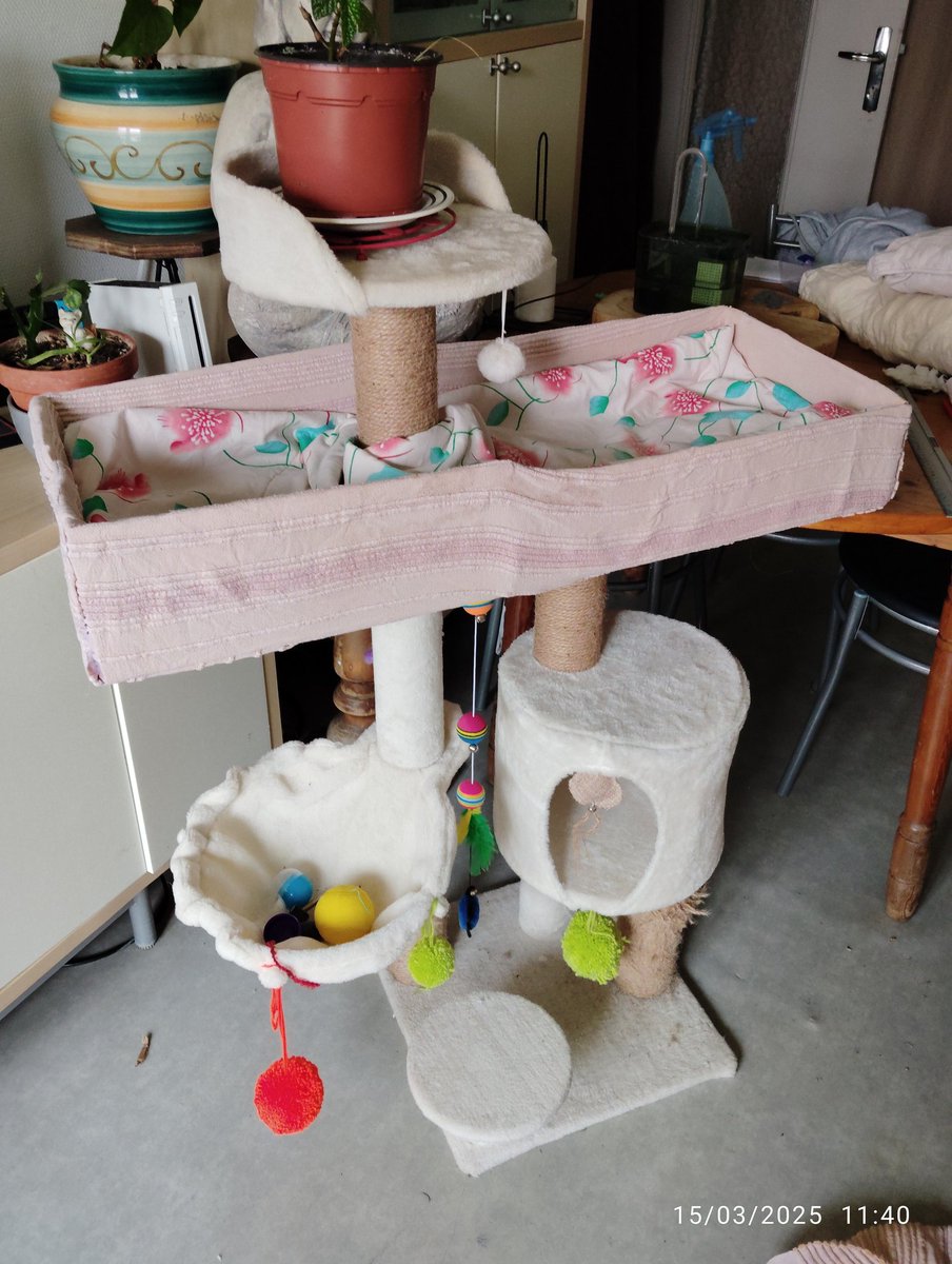 GeorgevailN's tweet photo. Je me remets tout doucement à avoir des envie de bricolage. Voilà le boulot de ce matin. petite modif sur l'Arbre a chat trop petit pour mes loulous... Je vous montrerez quand ils découvriront ça 😁 https://t.co/4wbGdxazEi