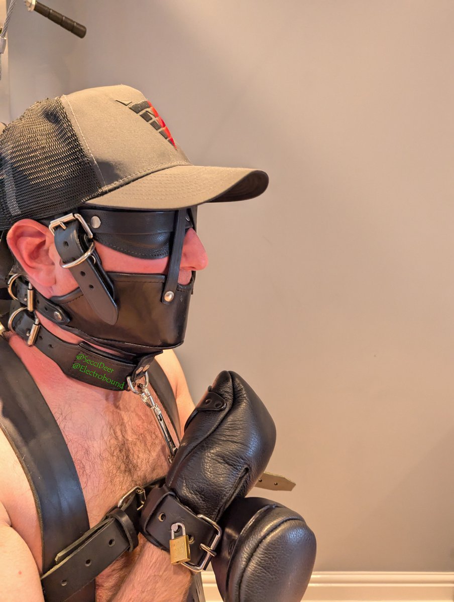 Secci (@seccideer) on Twitter photo Isn't <a href="/electrobound/">Electrobound</a> nice, making sure folks know it's me even when you can't see my face 😄🧢 Isn't <a href="/electrobound/">Electrobound</a> nice, making sure folks know it's me even when you can't see my face 😄🧢