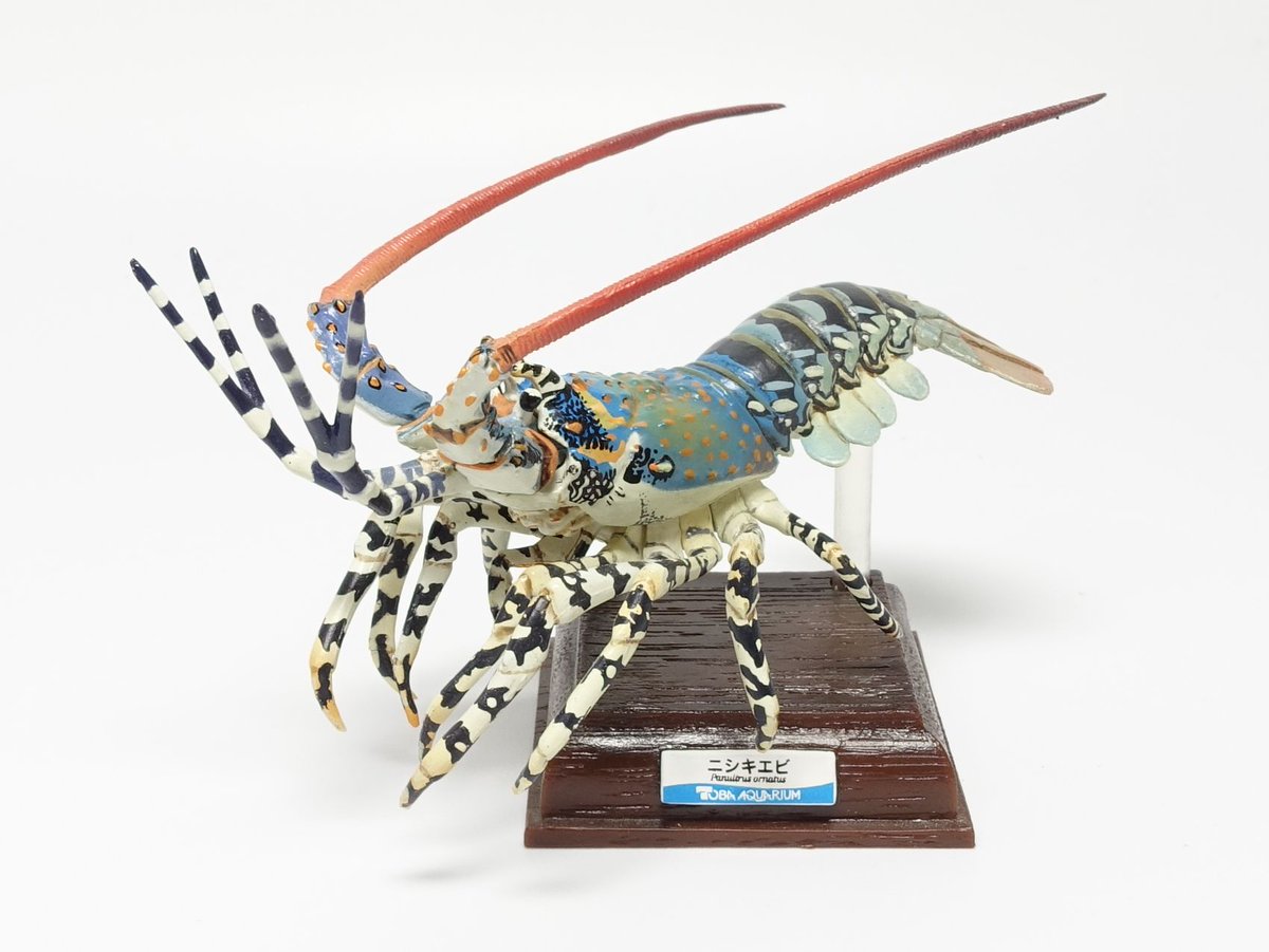 ネイチャーテクニカラー ニシキエビ ネイチャーテクニカラーのニシキエビ。 カプセルフィギュアでここまで