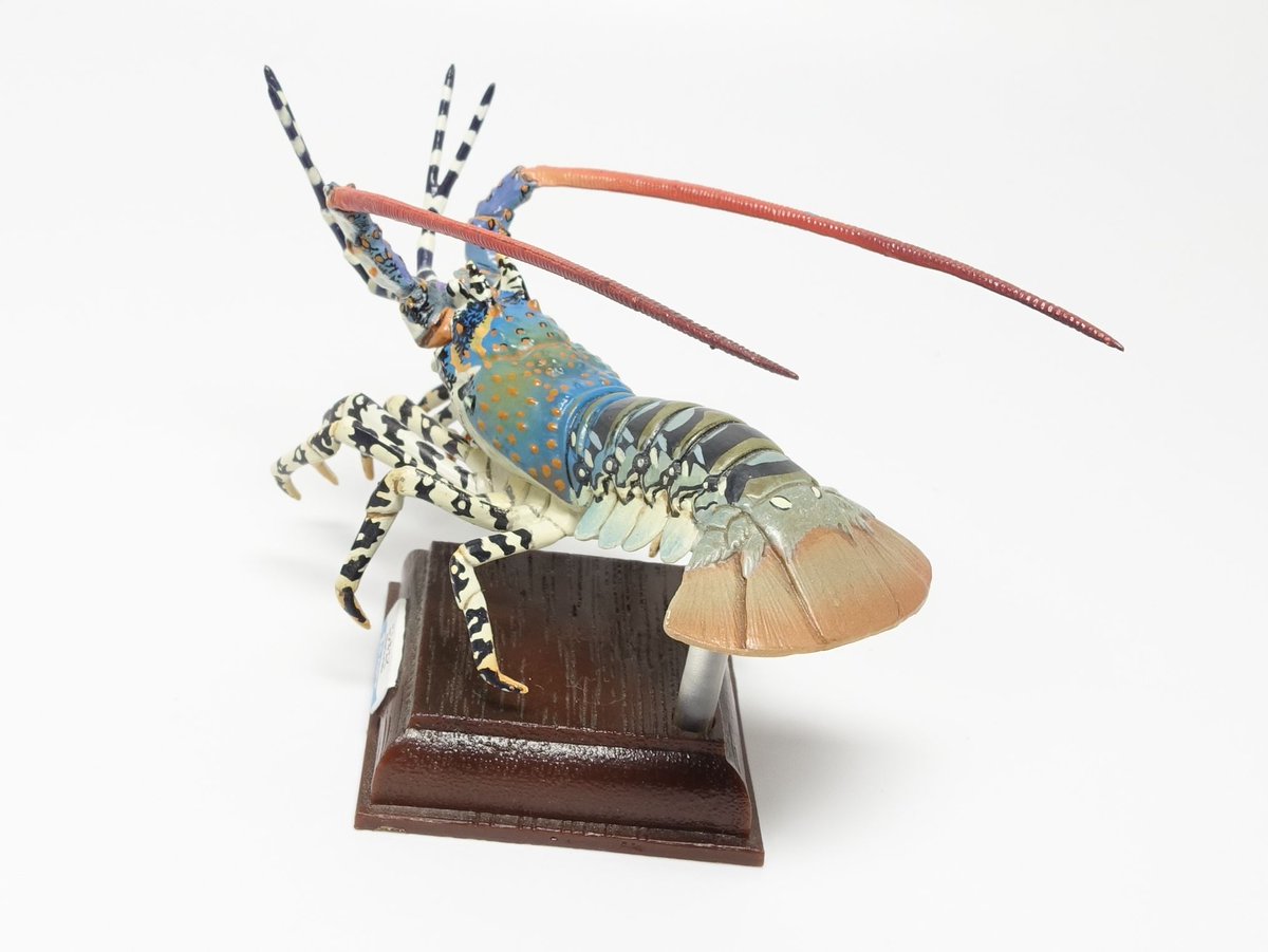 ネイチャーテクニカラーのニシキエビ。 カプセルフィギュアでここまで