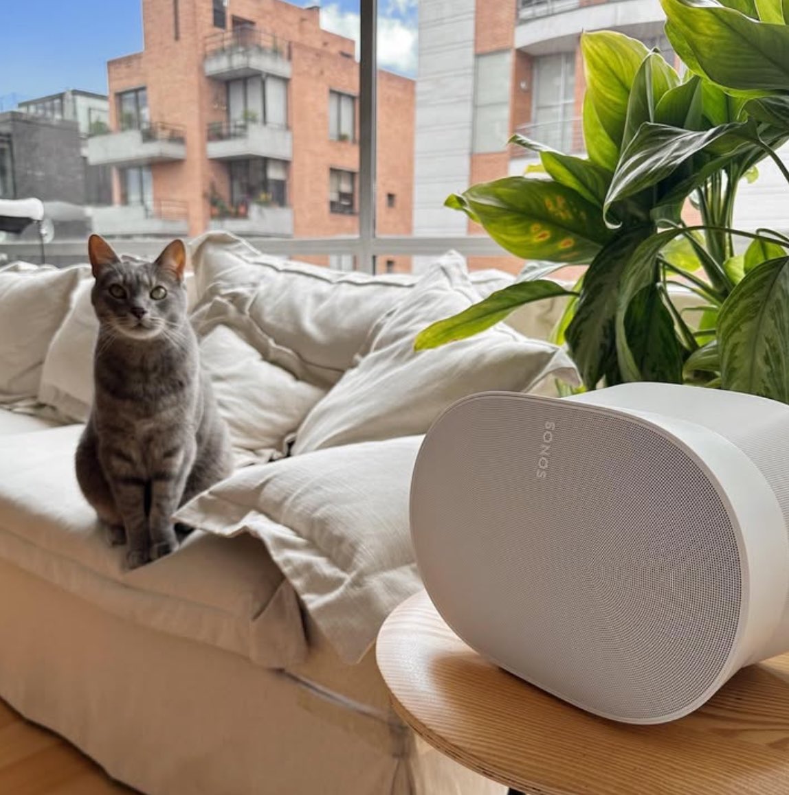 InfiniteTech13's tweet image. Sonos Era 300

An acoustic and aesthetic masterpiece
The first-of-its-kind design exquisitely balances sonic performance and visual appeal, precisely angling each driver while looking worthy of display.