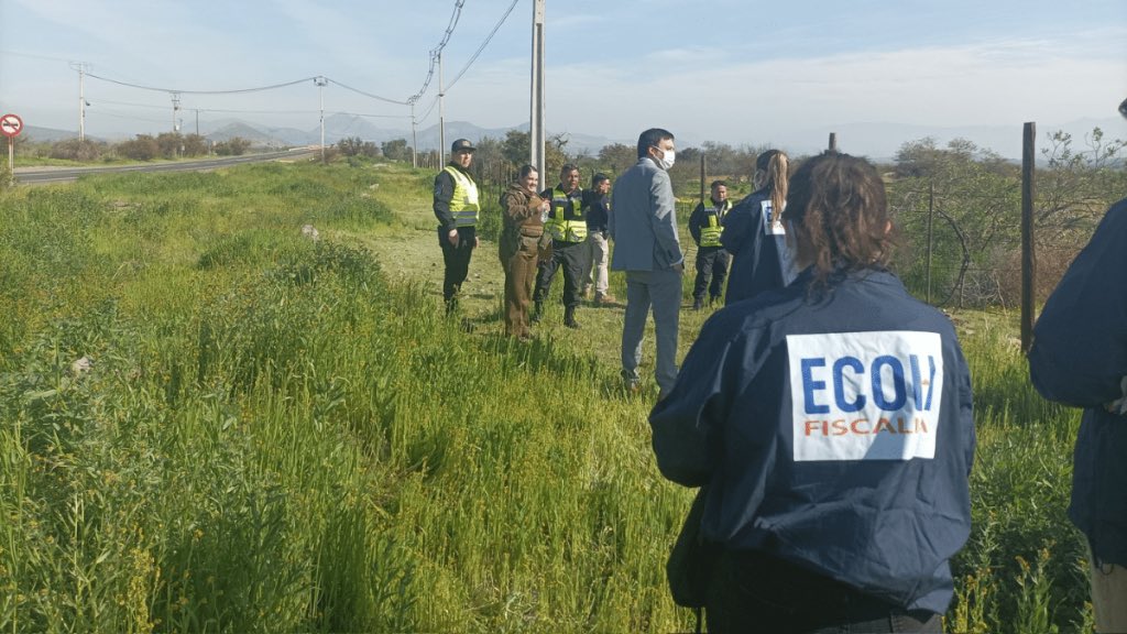Debemos trabajar en la implementación de una Estrategia de Seguridad Rural. <a href="/CoreBioBio/">Core BioBio</a> debe coordinar acciones y promover modelos de intervención e infraestructura que devuelvan la tranquilidad a miles de habitantes del Bio Bio. Plan Calles Sin Violencia es un fracaso.
