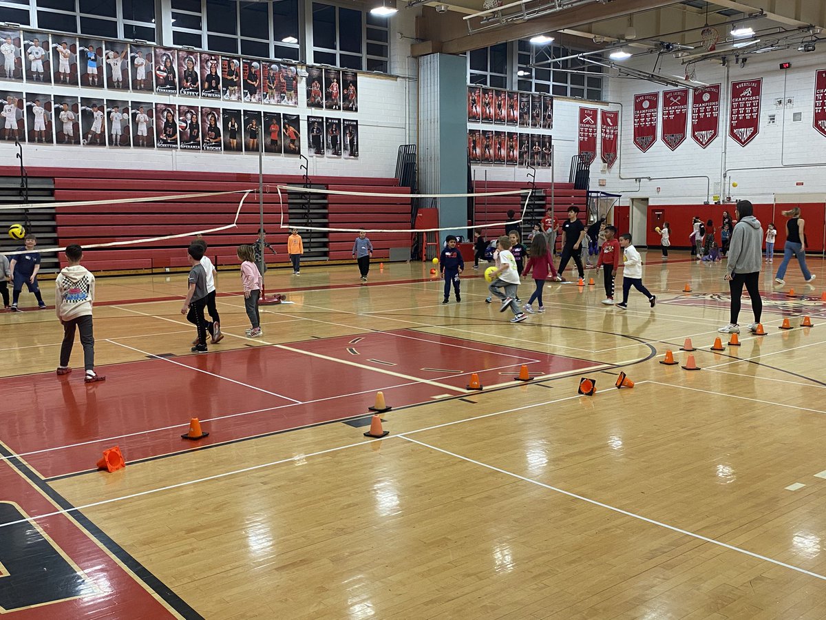 David Bodner tweet media