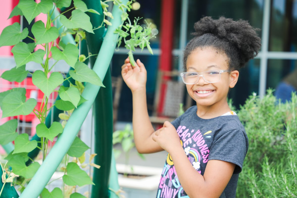 Mississippi Children's Museum tweet media