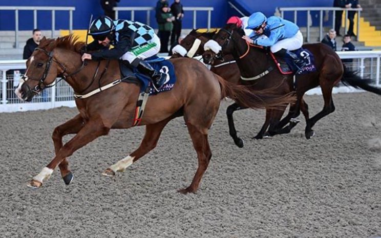 Sean Davis Racing tweet media