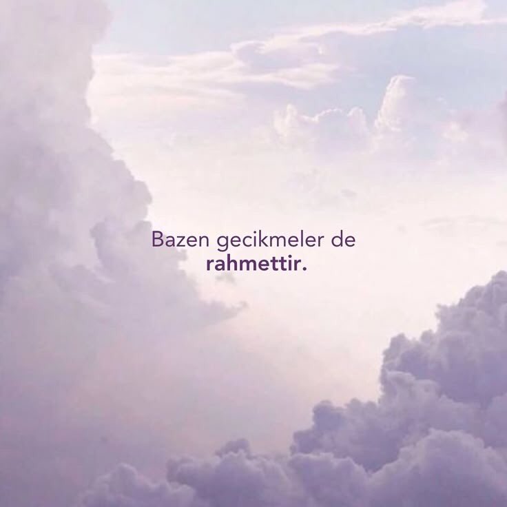 Monna Rosa (@ayaserenat) on Twitter photo 