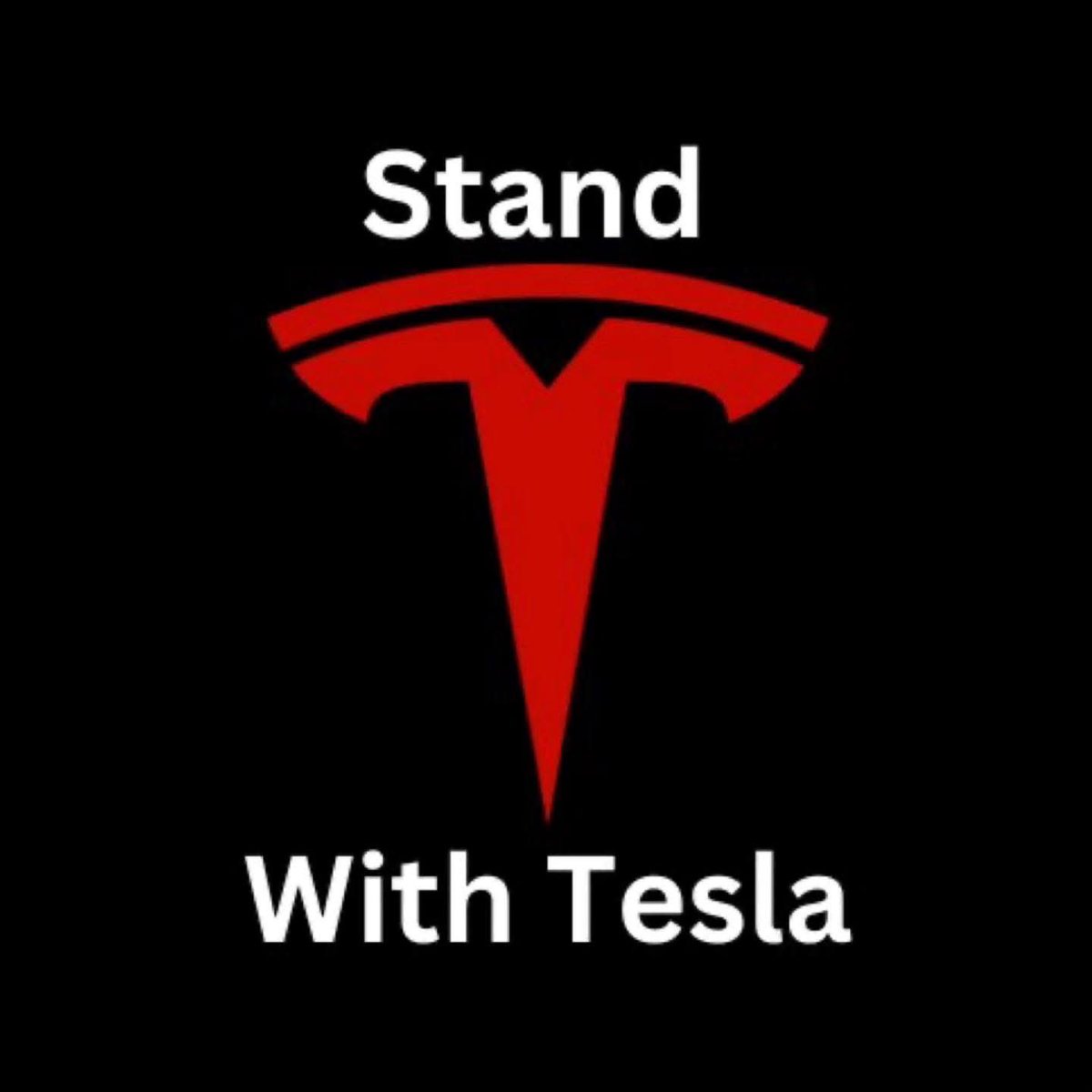 CalebSeraphin's tweet photo. I’m a Tesla Owner &amp; Driver. 100% Stand. https://t.co/LLXApZxwOM