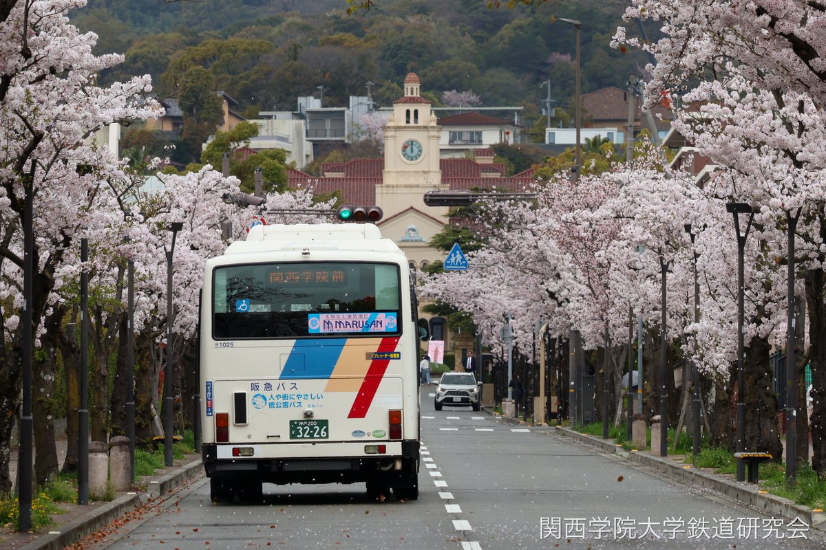 tetsukenkg's tweet photo. 🌸合格おめでとうございます🌸

鉄道研究会では鉄道を利用したお出かけや、貸切列車の運行など様々なイベントを行っています。
鉄道好きの方だけでなく、旅行が好きという方も大変歓迎しております！少しでも興味を持たれた方はぜひDMへ！皆様のご連絡を心からお待ちしております。

#春から関学 https://t.co/3Ef2nqiHtI