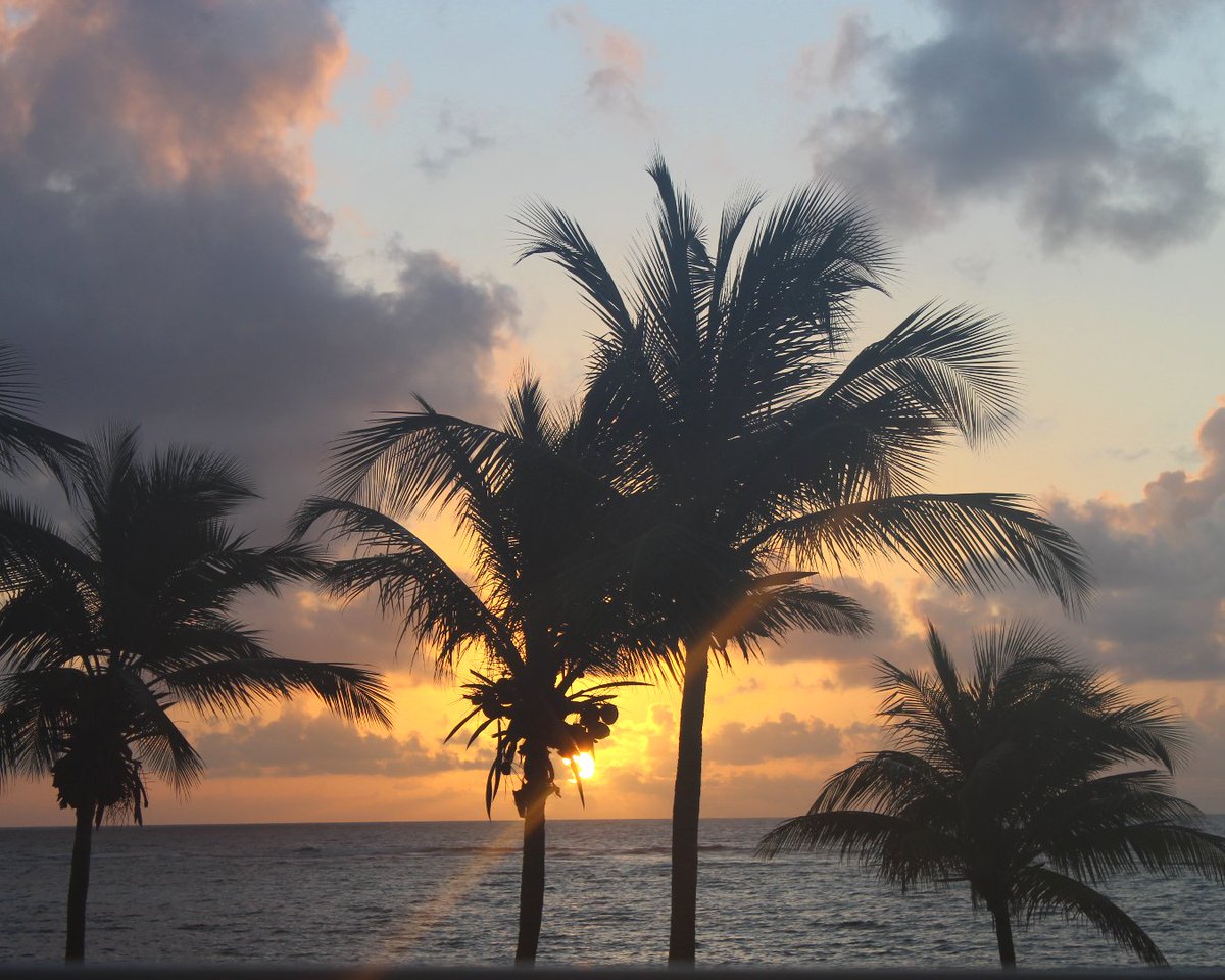 DiviCarinaSTX's tweet image. #SunriseSaturday 🌅 Have you ever watched the sunrise during your stay at Carina Bay? It's definitely something you won't regret! 

#DiviCarinaBay #CarinaBay #Sunrise #StCroix #USVI #StCroixSunrise