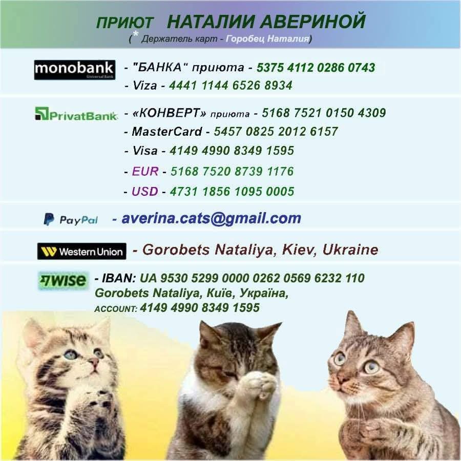 ‼SOS‼ HELP‼! 💰🐱🙏🙏🐱💰❤️

💰 PayPal - averina.cats@gmail.com

💰 Western Union, MoneyGram - 
Gorobets Nataliya, Kiev, Ukraine